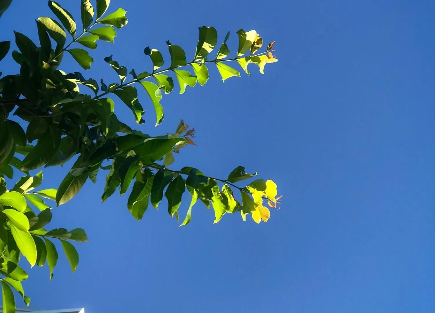Ξενοδοχείο Hoi An Lotus Aroma Villa
